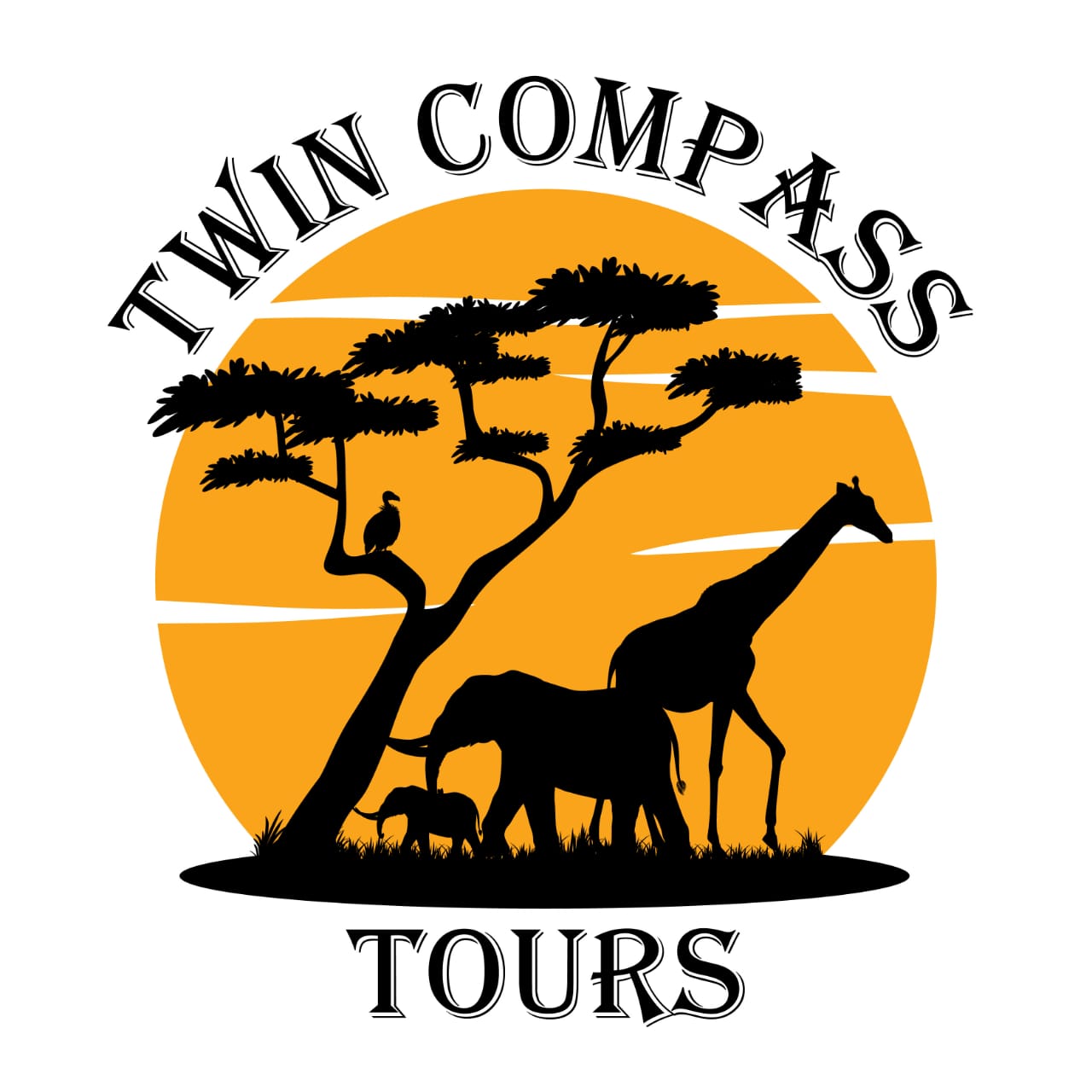 Twin Compass Tours Logo